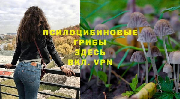мескалин Арсеньев